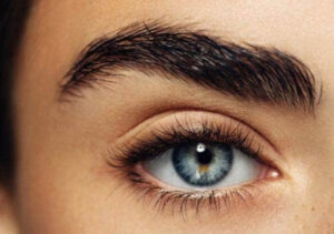 greffe-de-sourcils